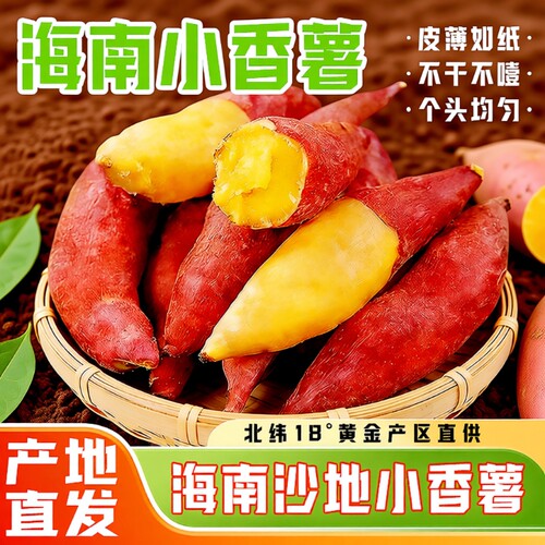 海南小香薯板栗味黄心小红薯蜜薯软糯地瓜小番薯农家自种沙地黄金
