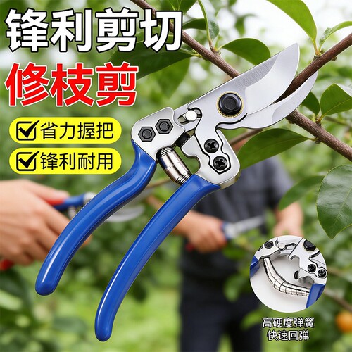 精工艺修枝剪园林果树剪