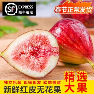 顺丰包邮 红皮无花果新鲜5斤现摘现发大果孕妇鲜果当季水果非青皮
