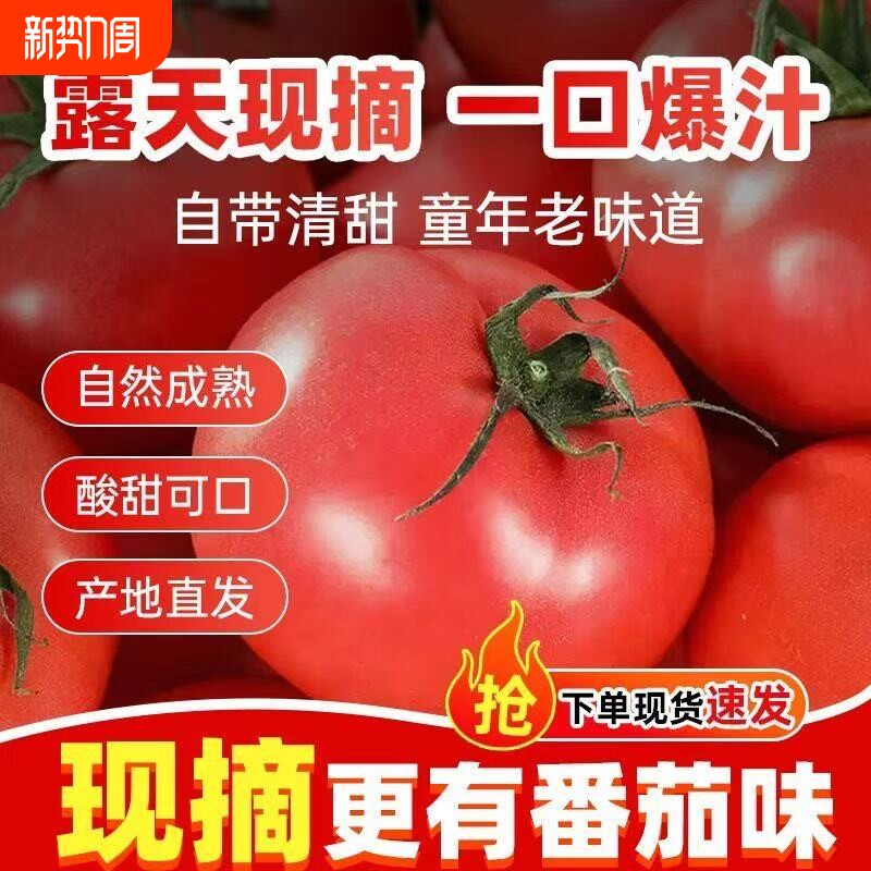云南西红柿沙瓤现摘新鲜番茄老品种可生吃自然熟应季水果蔬菜整箱