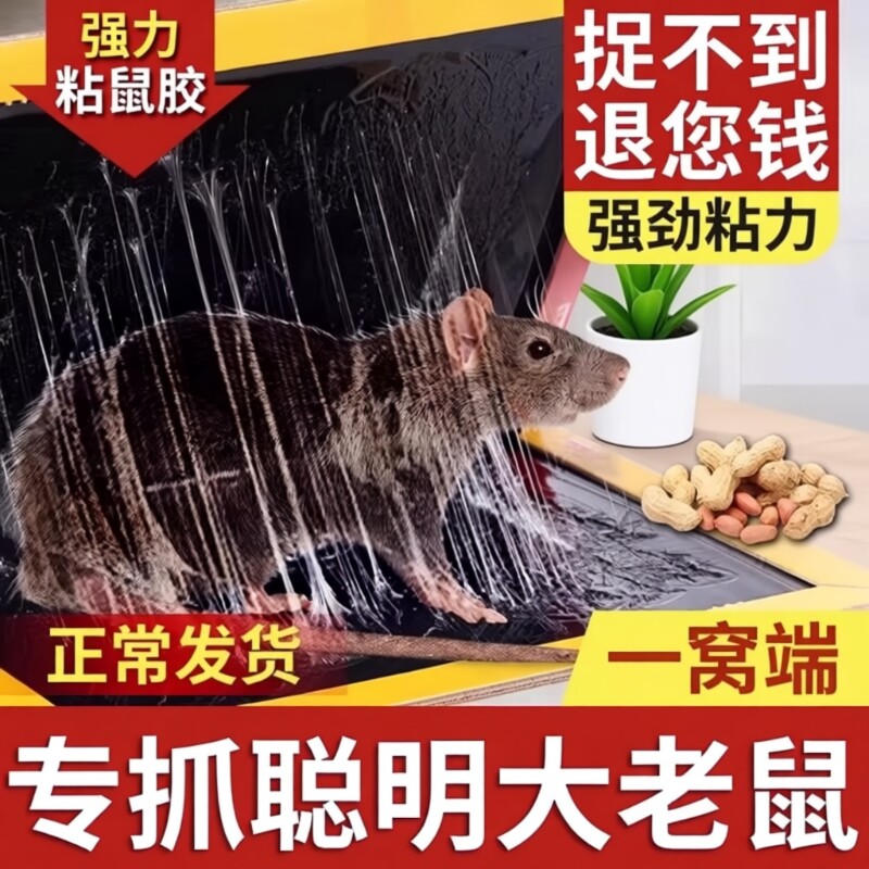 强力粘鼠板大老鼠贴超强家用神器粘鼠器粘大老鼠器强力胶粘板捕鼠