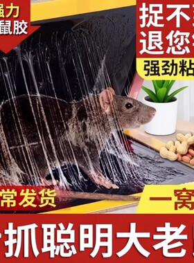 【强力粘力老鼠无处逃】粘鼠板