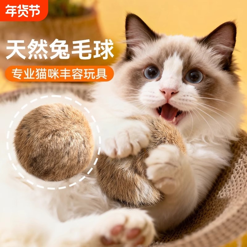 天然兔毛球猫玩具猫薄容玩具小猫逗猫棒猫咪自嗨解闷神器虫瘿羽毛,宠物/宠物食品及用品,逗猫棒,淘宝优惠券,粉丝福利购,淘宝优惠卷