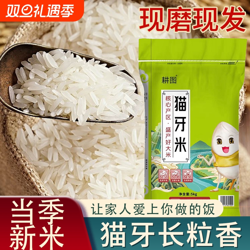 南方大米10斤猫牙香米5KG装现磨