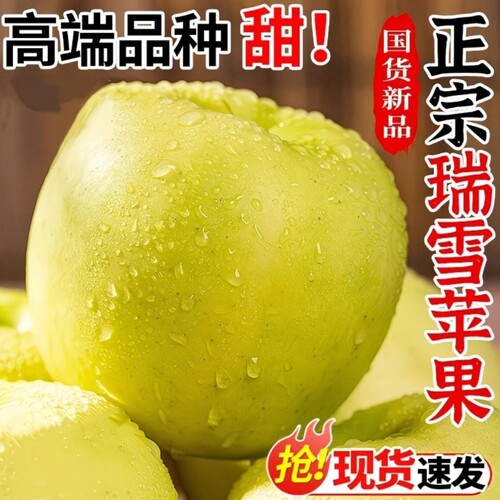 正宗瑞雪苹果新鲜青苹果农家当季现摘头茬大果脆甜孕妇水果整箱