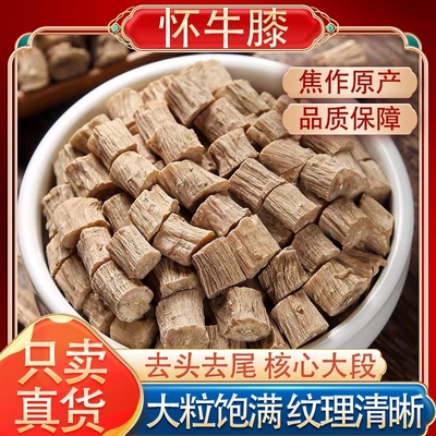怀牛膝中药材正品干货牛七怀牛膝粉淮牛膝牛夕河南焦作牛漆泡水喝