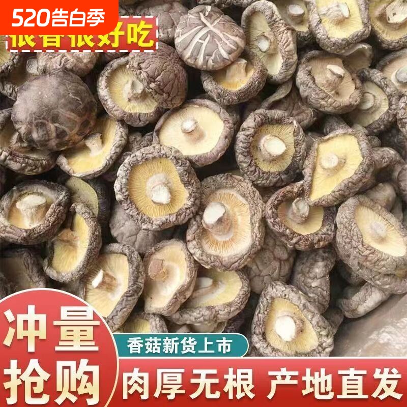 福建古田正宗农家无硫香菇冬菇蘑菇无根新出干货煲汤食材优质散装
