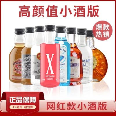 威士忌迷你酒45ml便利店调酒基酒小酒版伏特加鸡尾酒白兰地朗姆酒