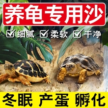 乌龟冬眠椰土苔藓专用底砂孵化沙子爬宠草龟垫材保暖产蛋造景下蛋