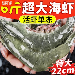 青岛大虾鲜活冷冻特大号青虾2030海虾基围虾盐冻无冰海鲜速冻水产
