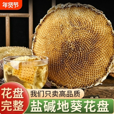 盐碱地葵花盘药用中药材正品整个葵花籽盘干新鲜向日葵花盘葵花饼
