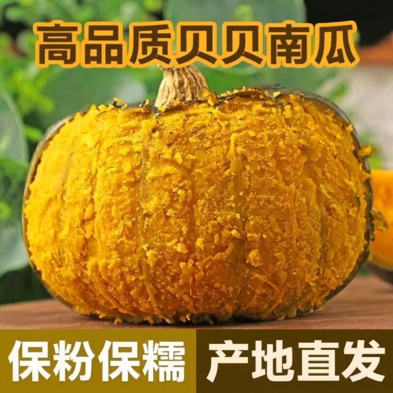 正宗真贝贝南瓜板栗味小南瓜粉糯婴儿南瓜辅食整箱批发包邮粗粮
