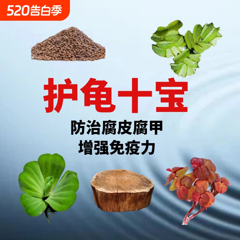乌龟缸晒台龙眼木造景装饰龟缸水植防腐皮腐甲调节水质造景水草