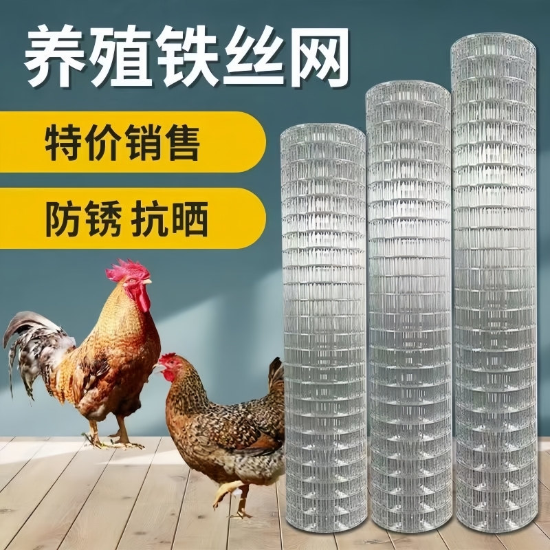 镀锌铁丝网围栏网护栏网鸡鸭网鸟笼铁网阳台防护网防鼠网宠物隔离