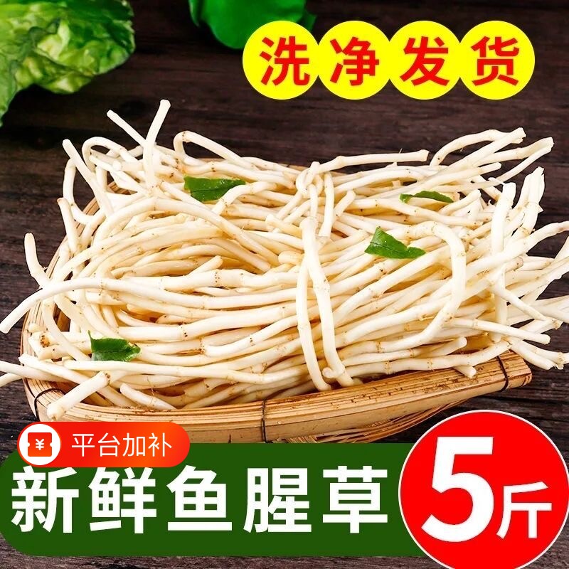 鱼腥草新鲜折耳根侧耳根嫩根农家自种凉拌泡茶蔬菜泡沫箱冰袋发货