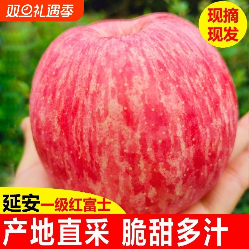 正宗陕西延安洛川苹果新鲜水果当季红富士非冰糖心整箱脆甜包邮