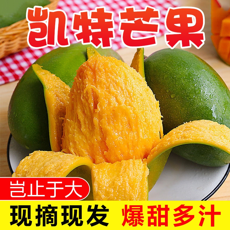D正宗四川攀枝花凯特芒果当季现摘现发新鲜水果