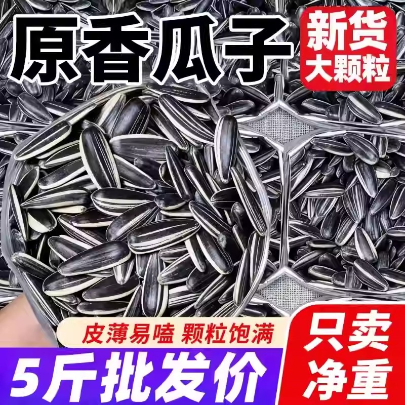 原味熟瓜子葵花籽363品种新货特大颗粒5斤现炒散装新鲜包邮内蒙古