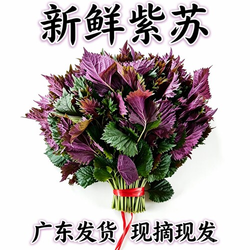 鸡冠紫苏100g|超1000次加购