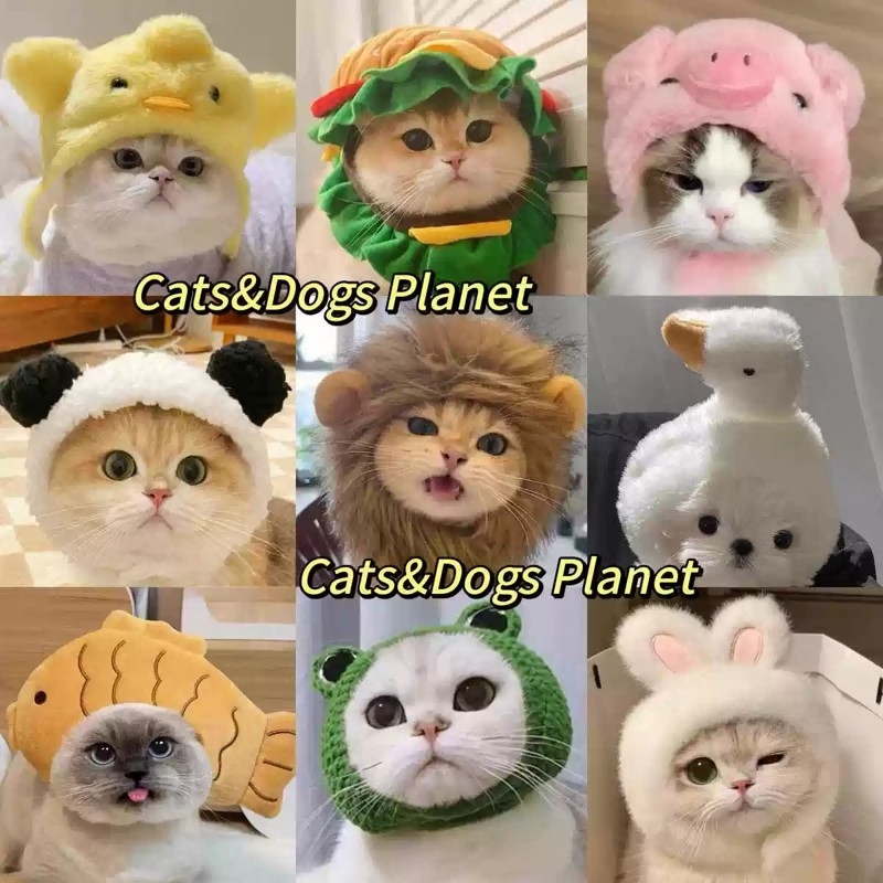 猫咪帽子头饰可爱搞怪变装帽宠物金渐层英短德文狗狗汉堡头套卡通