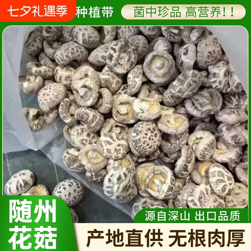 随州花菇特产冬季茶花菇250g包邮香菇全干肉厚新货干香菇干花菇
