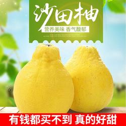包邮正宗梅州沙田柚广东金柚柚子纯甜白心肉孕妇当季新鲜水果整箱