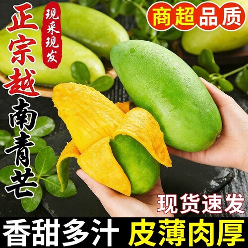 正宗越南大青芒新鲜水果10斤大果当季水果热带金煌芒整箱特产包邮