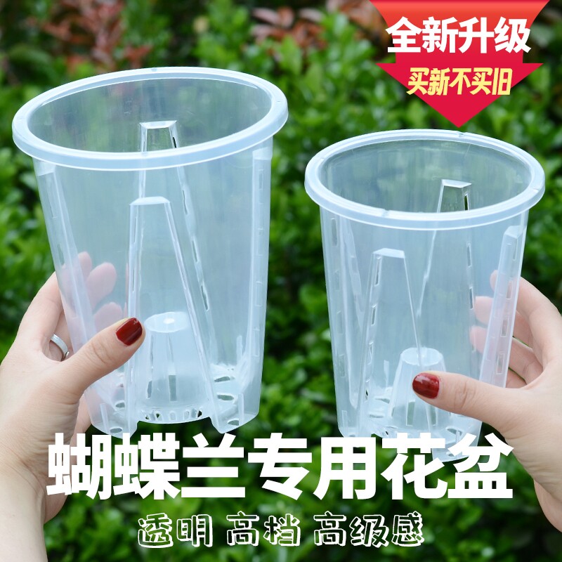 蝴蝶兰专用花盆适合轻奢高级感高档透明塑料高透空气柱阳台带托盘