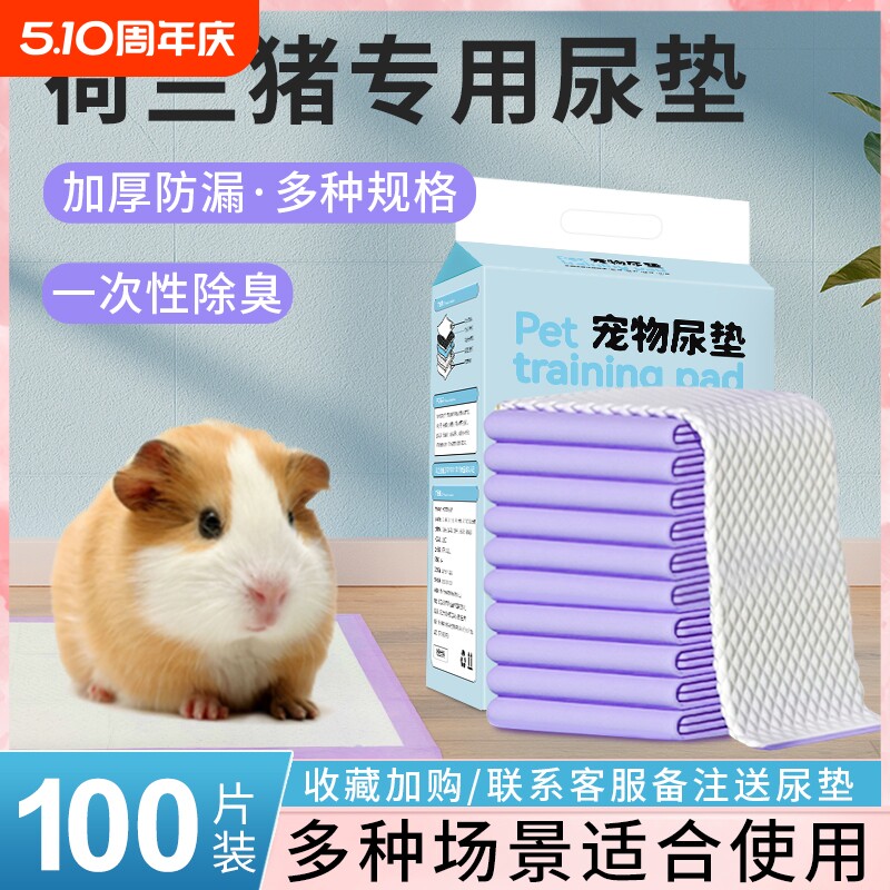 荷兰猪尿垫龙猫豚鼠护理尿不湿加厚吸水笼子窝除臭垫料荷兰猪用品