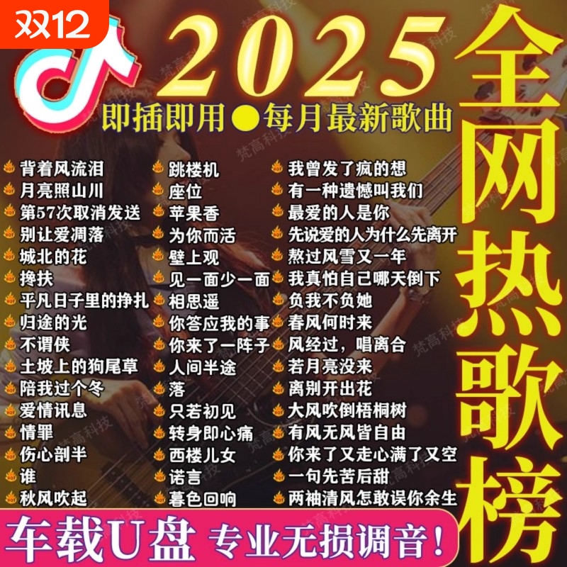 新款汽车音乐U盘热歌高音质