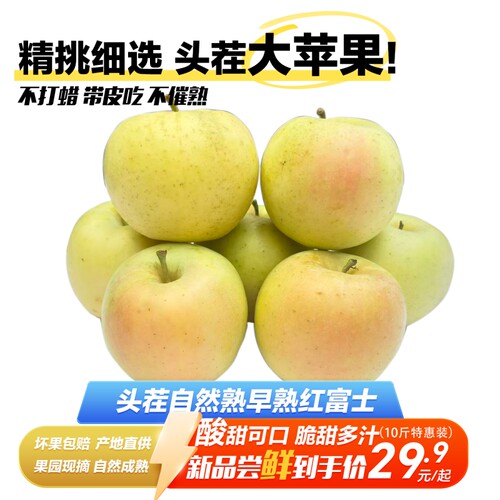 现摘新鲜早熟红富士苹果产地直供