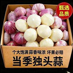 2026新鲜独头蒜紫皮大头蒜嫩蒜现挖湿蒜鲜蒜泡蒜腊八蒜头独蒜糖蒜