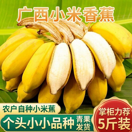福利广西正宗小米蕉拇指蕉鸡蕉新鲜应季孕妇水果自然熟各地现摘