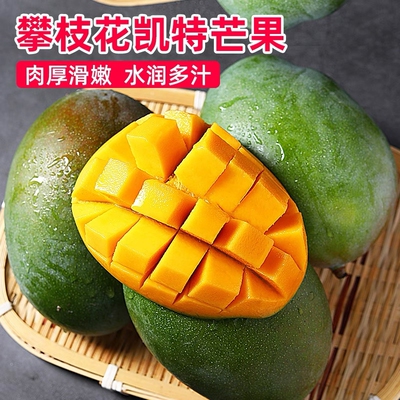 攀枝花凯特芒果新鲜水果肉厚滑嫩水润多汁当季现摘