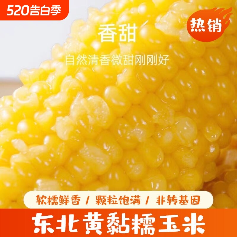 东北黄糯玉米棒新货真空装黄苞米现摘新鲜甜玉米粒粘粗粮早餐必备
