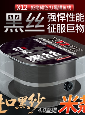打黑12编pe线耐磨强拉力鱼线海钓路亚专用远投大力马线黑丝锚鱼