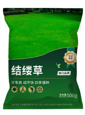 结缕草草籽高档草坪种子中华结缕草日本结缕草庭院四季常青草种子