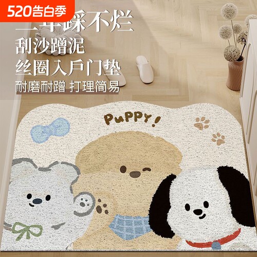 入户门丝圈地垫门口脚垫进门