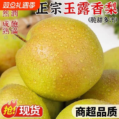 山西玉露香梨青梨当季新鲜水果果园直采皮薄脆甜多汁非秋月梨雪梨