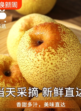 梨子正宗砀山梨酥梨当季水果新鲜现摘安徽皇整箱青梨香梨雪梨时令