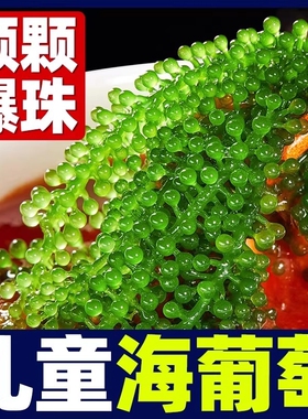 儿童海葡萄即食水葡萄绿色鱼子酱海藻凉拌菜盐渍水葡萄爆珠海草