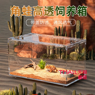 角蛙饲养箱亚克力大别墅水陆两用全景守宫寄居蟹蜗牛蛇甲虫饲养盒