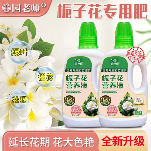 【园老师】栀子花肥料喜酸营养液