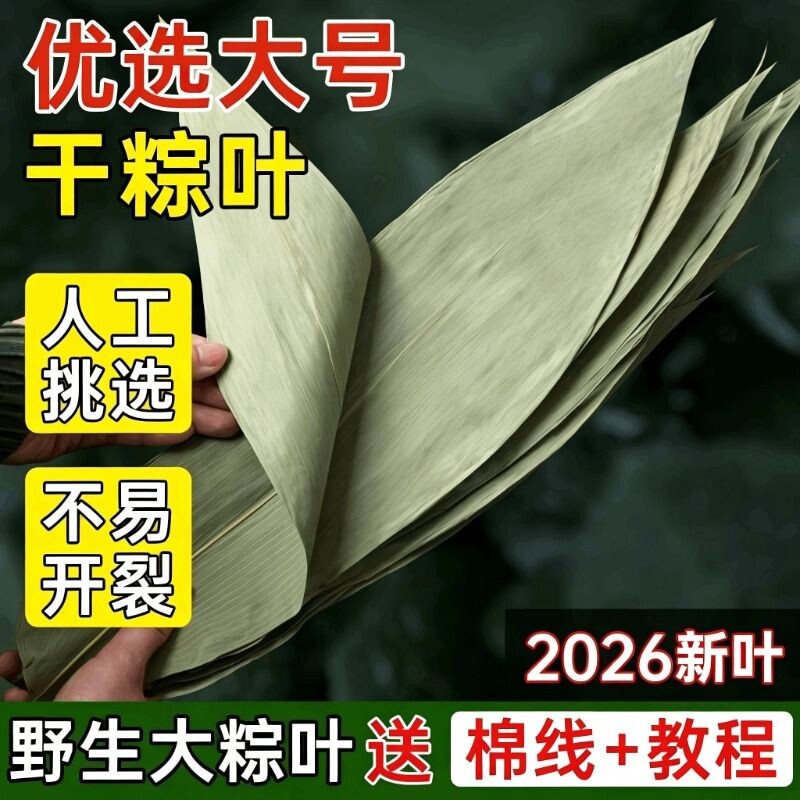 干粽叶大号免邮商用批发端午节