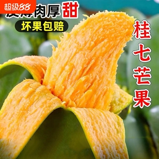 【冰淇淋口感】正宗广西百色田东桂七芒果新鲜水果整箱青芒果包邮