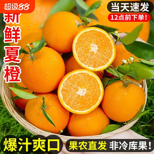夏橙脐橙新鲜橙子当季水果果冻冰糖甜橙大果整箱包邮秭归脐橙鲜果