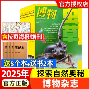 全年 12月 2024年1 意林少年科學自然科普百科非萬物好奇號過刊7 2023年珍藏 中國國家地理青少年版 半年訂閱 博物雜志2025年