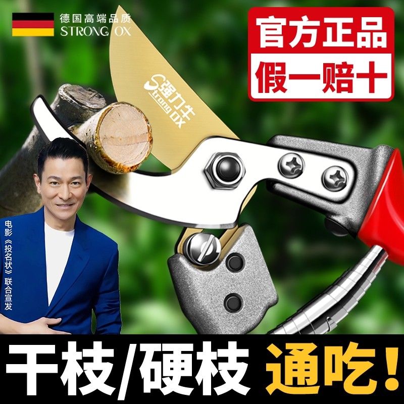 花卉修枝剪花艺果园专用剪刀德国进口园林剪果树修枝剪园艺剪刀