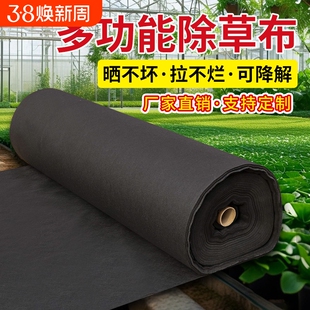 德国防草布绿黑除草布加厚耐用果园果树遮草盖草布农用地布保湿布