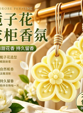 石膏香薰蜡片室内持久留香车载香氛高级衣柜卧室香气栀子花可用